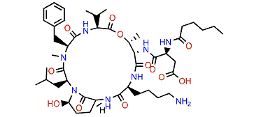 Cyanopeptolin B